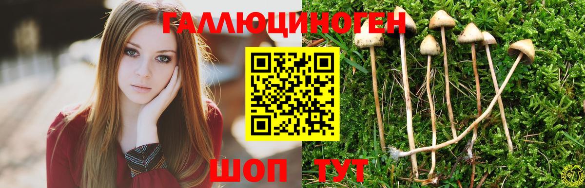 ГАШИШ Таганрог