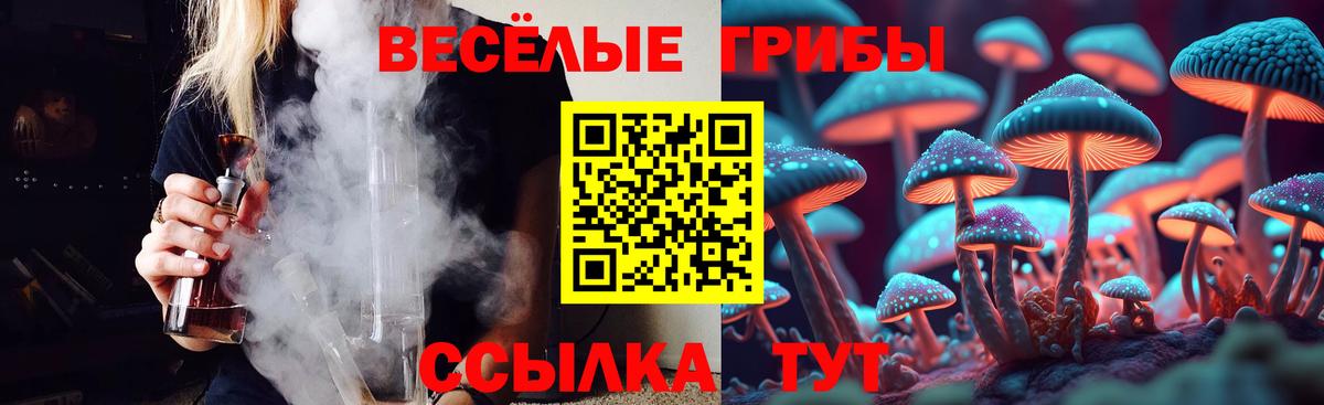 Псилоцибиновые грибы Psilocybine cubensis Таганрог
